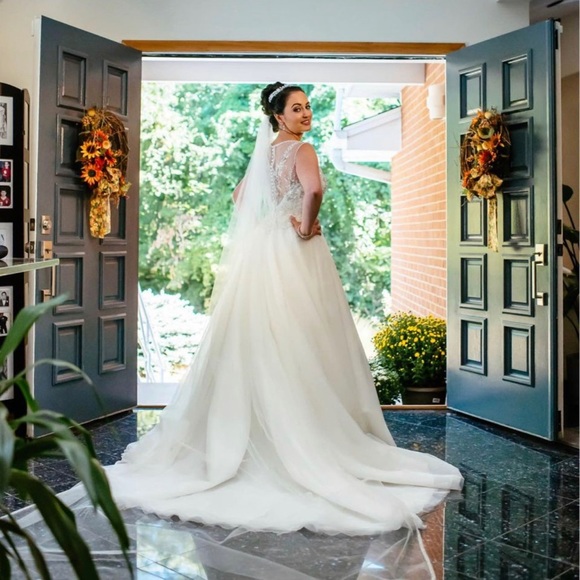 Pronovias Barcelona ballgown - Picture 6 of 8